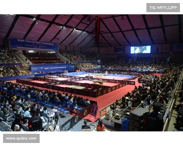 山东队与江苏队巅峰对决引爆本赛季最激烈体育盛事火花四溅