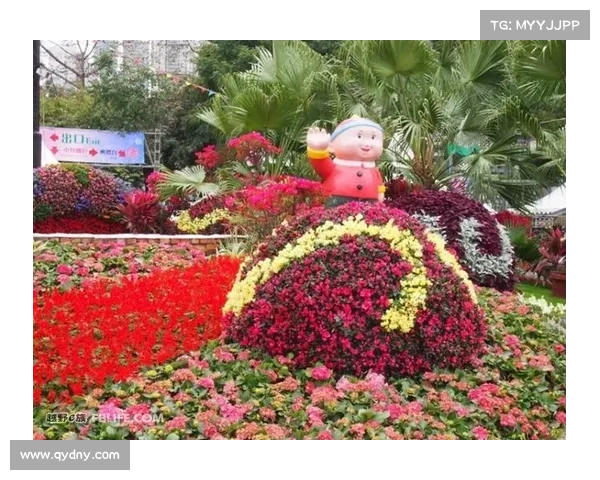 花花赛事花花演出